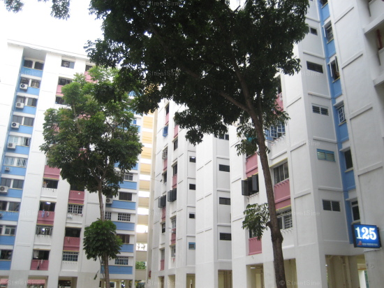 Blk 125 Eunos Spring (Bedok), HDB 4 Rooms #196802